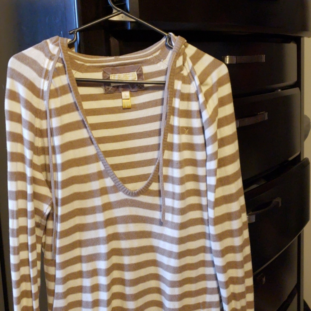 AE hooded sweater